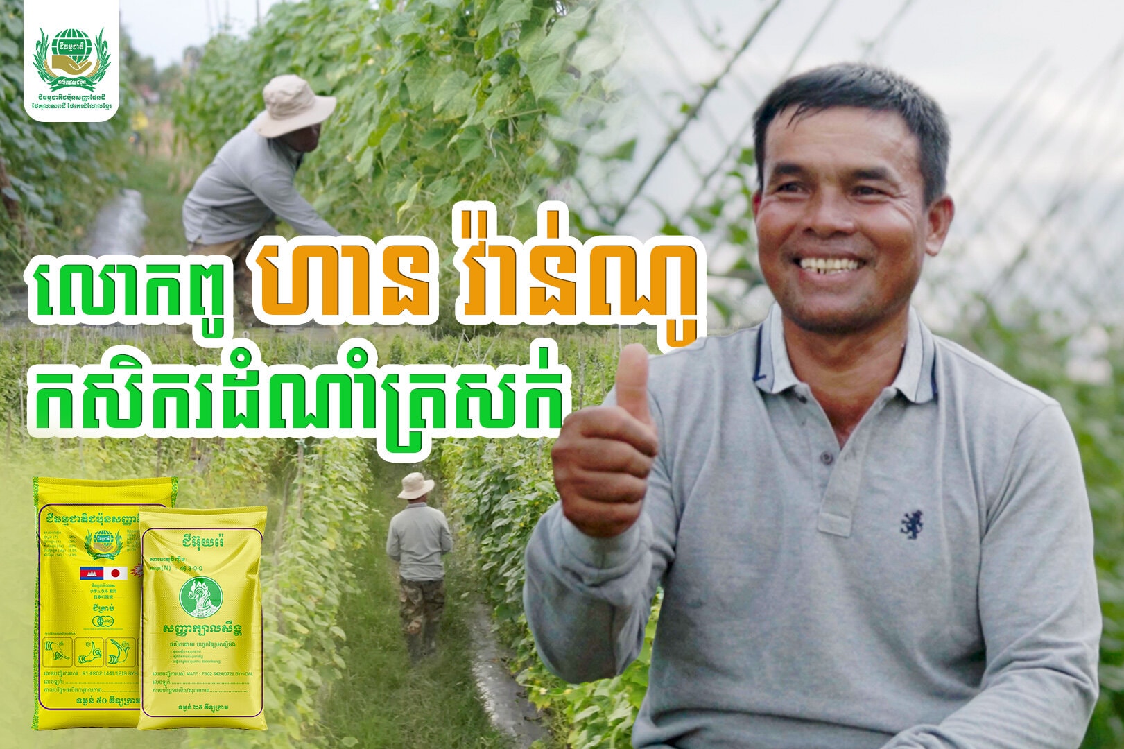What’s his methods to get long term high yield and not to face some factor that could destroy his cucumber plantation? Let’s watch this short video to get the experience from him.